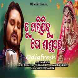 Tu Chalijibu To Sashughara